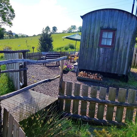 Eco Accommodation Cornflower Holiday Craven Arms Exteriér fotografie