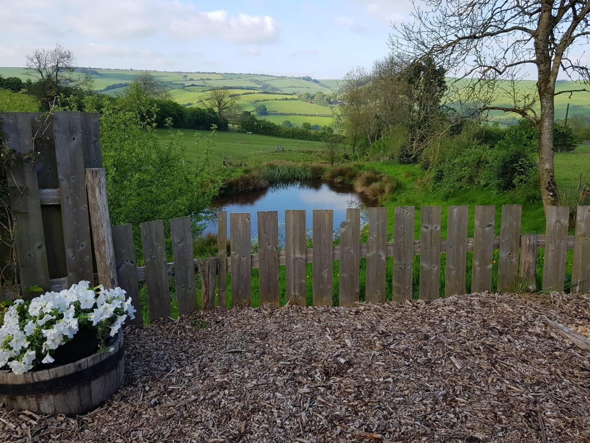 Eco Accommodation Cornflower Holiday Craven Arms Exteriér fotografie