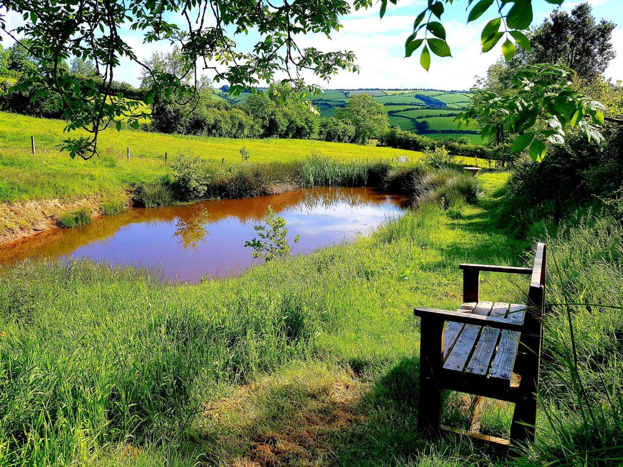 Eco Accommodation Cornflower Holiday Craven Arms Exteriér fotografie