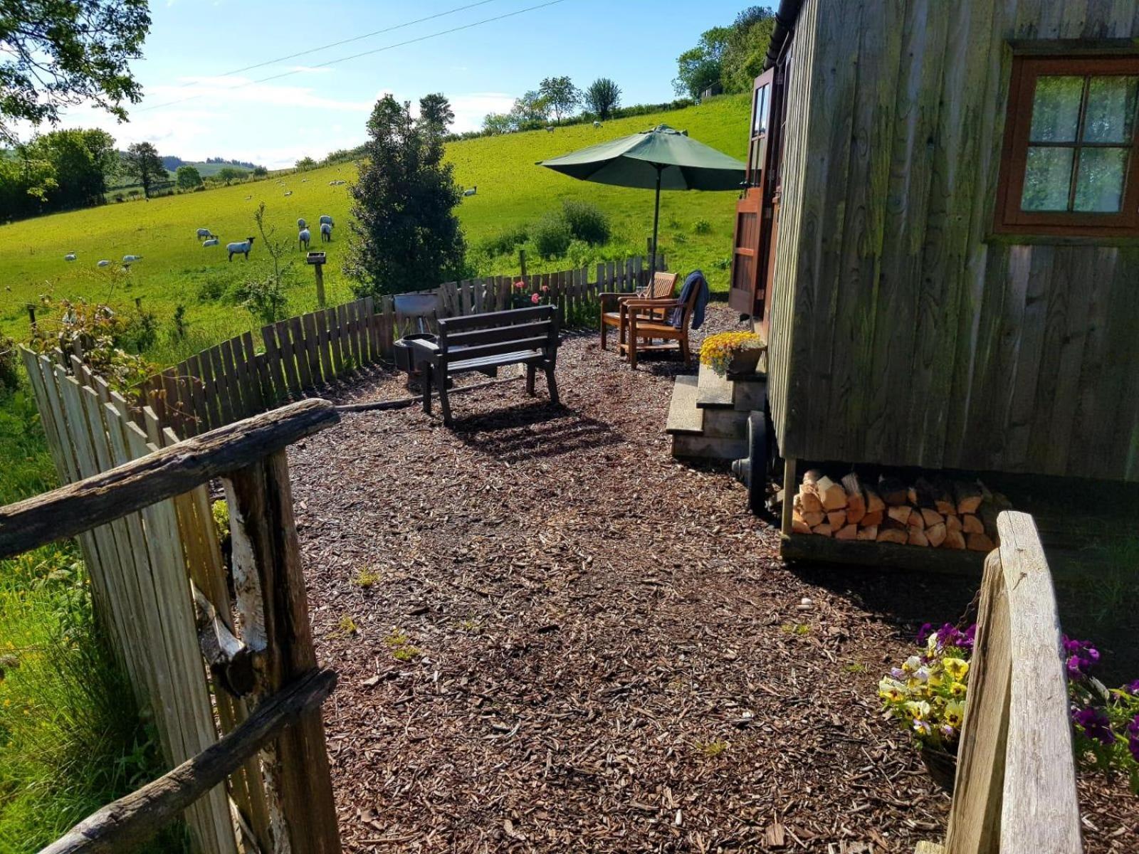 Eco Accommodation Cornflower Holiday Craven Arms Exteriér fotografie